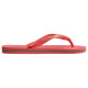 Havaianas Brasil Logo